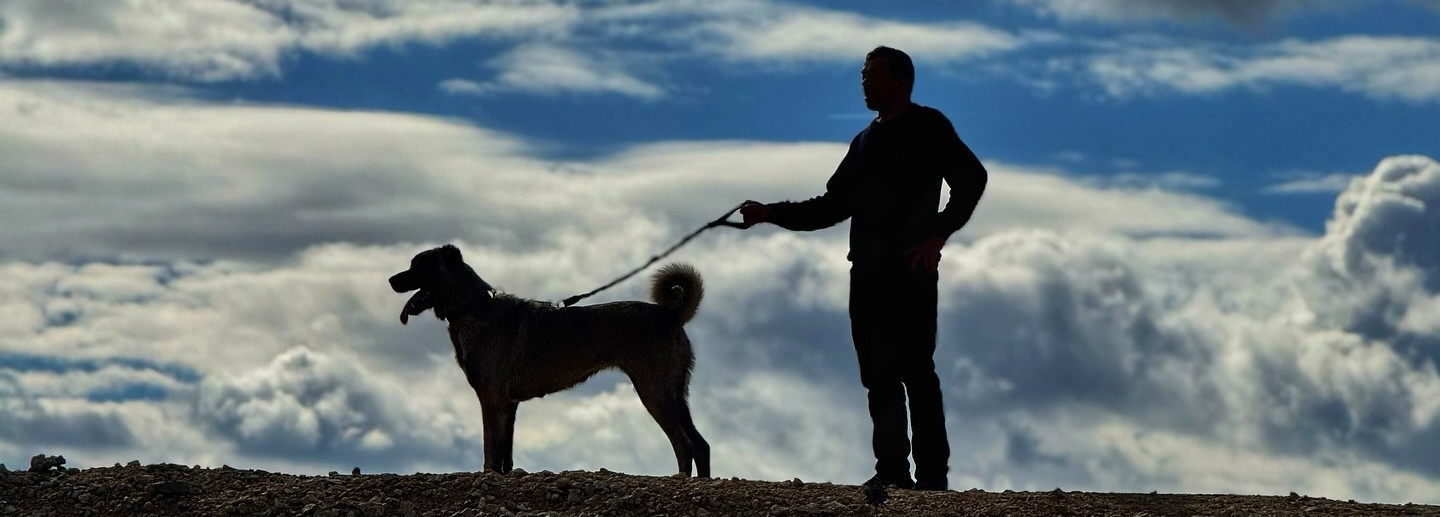 Anadolu kangal köpeklerii ile dağda gezinti